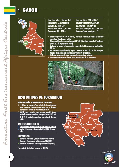 Cartographie des formations au Gabon