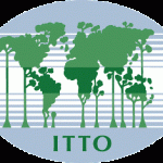 Organisation Internationale des Bois Tropicaux