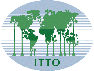 Organisation Internationale des Bois Tropicaux